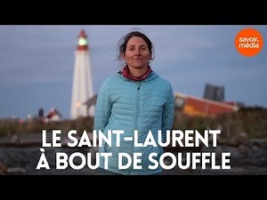 The St. Lawrence at the End of Its Life - River in Troubled Waters