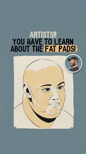 We really don’t talk about fat pads enough. They’re these natural pockets of fat in the face, and once you understand them, so many drawing mysteries suddenly click. The mouth shape, the way the eye sits in its socket, why certain folds and wrinkles show up where they do… it all ties back to fat pads. They’re also huge for drawing characters who are underweight or overweight, and they completely shape how age shows up in a face. If you’ve ever wondered why a neck fold appears “out of nowhere” or