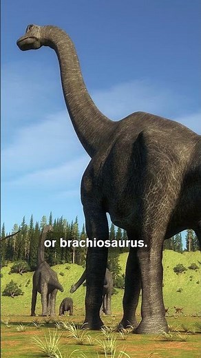 What it’s REALLY Like on a Dinosaur Dig