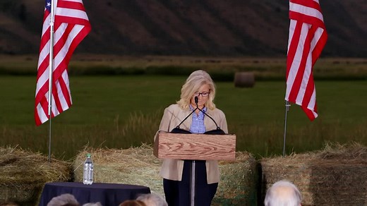 Two years ago, I won with 73% of the vote. I could easily have done so again. But it would have required that I go along with Trump’s lies about the 2020 election. That was a path I would not take. No House seat is more important than the principles we are all sworn to protect. | Liz Cheney