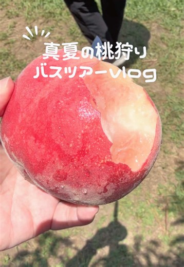 山梨県フルーツパークで桃狩り｜モモザンマイと富士山の眺め