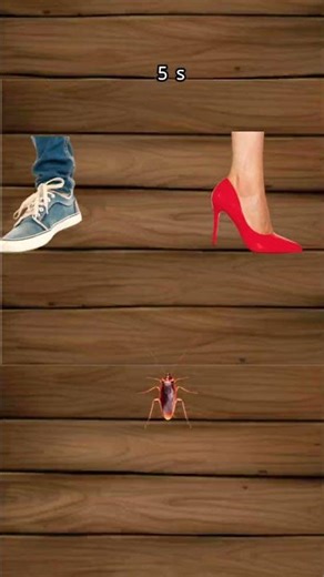 Can u please sub so I can get 2k