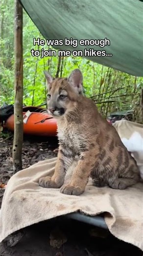 We saved each other ❤️ #wholesome #animals