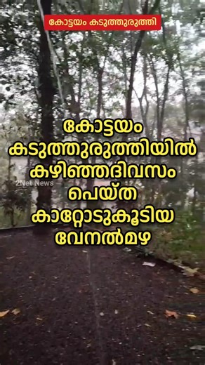 കോട്ടയം കടുത്തുരുത്തിയിലെ കാറ്റോടുകൂടിയ വേനൽമഴ • Summer Rain in Kaduthuruthy • Rain Video • 2Net New