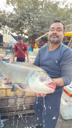 Most popular Katla fish in Govindpuri market ￼Delhi #shortvideo #fish #rrrm