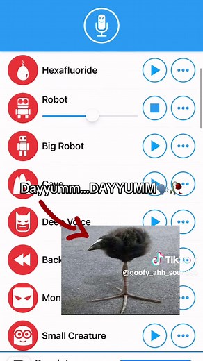 Exploring the Humor of Dayyumm Meme