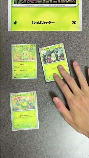 A guide explaining the difference between the two types of Chikorita [Pokémon Cards]