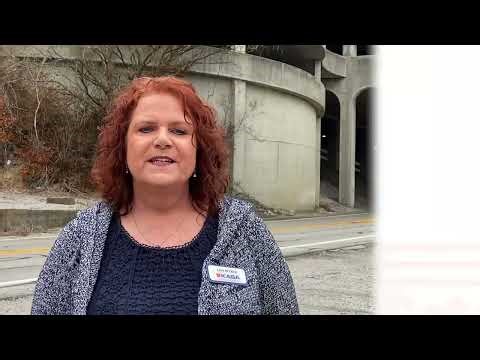 Drive In Day Capitol Tour 2026