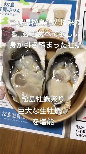 宮城県松島町 2025年2月2日牡蠣祭り 松島に来たら是非ここの巨大な生牡蠣を食べてみて！ #松島#牡蠣#カキ