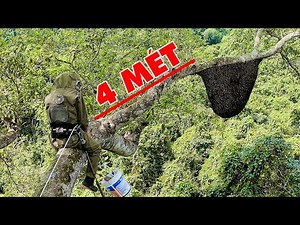 CONQUERING A HONEY THAT OTHERS HAD SHAKED THEIR HEADS AND LEFT AWAY - Woodman 2022.