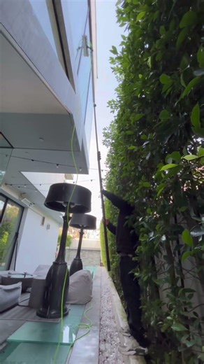 Our technician Hector making a hard to access window look it’s absolute best. #windowcleaning