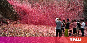 Sony Fires 8M Petals Out of a Volcano in Stunning Ad for 4K TVs