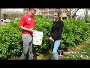 UGA Extension Video Clips - Soil Sampling