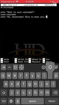 Get User Input in Bash on iPhone 📲 | iSH Shell Linux Scripting Pt. 3 | #linux #iphone #tech