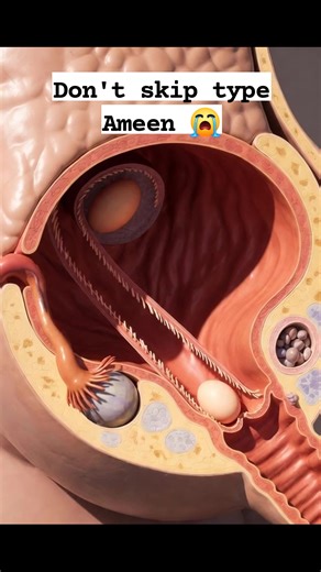 How fertilization happens inside the human body. This video is for educational purposes only. #HumanBiology #ReproductiveHealth #MedicalAnimation #Fertilization #ScienceEducation | awm official