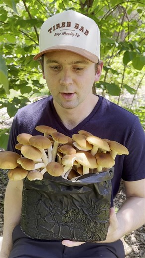 Field and Forest Products on Reels