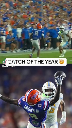 Inside The Swamp on Reels