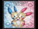 Plusle & Minun - Best Friend