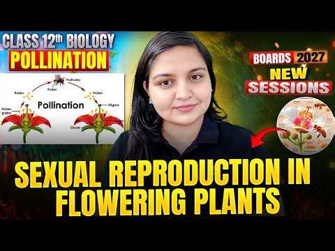Class 12 Biology | Sexual Reproduction in Flowering Plants - Pollination | Boards 2026-27