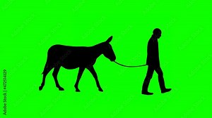 Man walking with a donkey, animation on the green background
