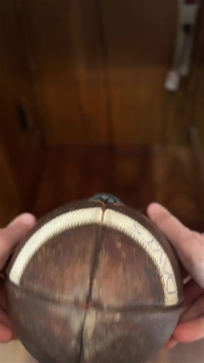 Restore Your Leather Football with Easy Steps