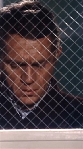 Steve McQueen Human | Film Perfective