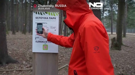 Watch Moscow’s squirrels live with AI-powered feeders