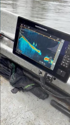 Big Dave putting Humminbird MEGA Live to work in real river conditions