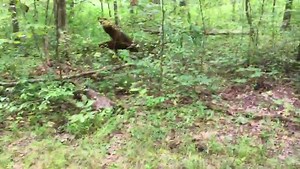 One of Wednesday’s Gettysburg augmented reality tests with our friends at Lumina Datamatics. That’s our own historian Garry Adelman manning the not-so-steady camera! | American Battlefield Trust