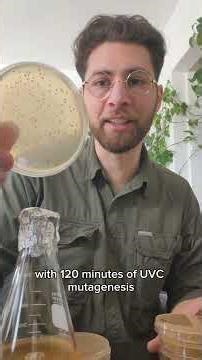 I Mutated Yeast at Home Using UV Light (DIY UVC Mutagenesis)