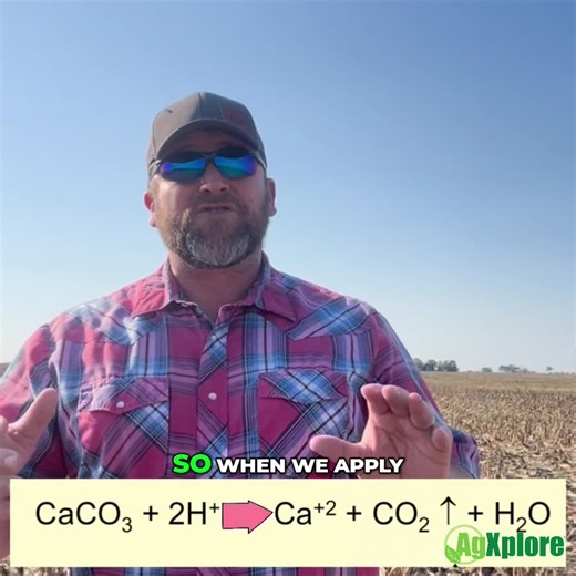 How Lime Works in the Soil_ The Chemistry of Calcium, Carbonate, and Soil pH Explained Simply #PlantNutrition #AgXplore #Agronomy @drjtmurphy