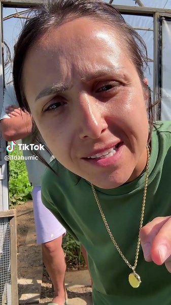 Pratim Vas: Unveiling the Mysteries of Ilda Humic