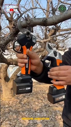 Best Branch Pruning Tool