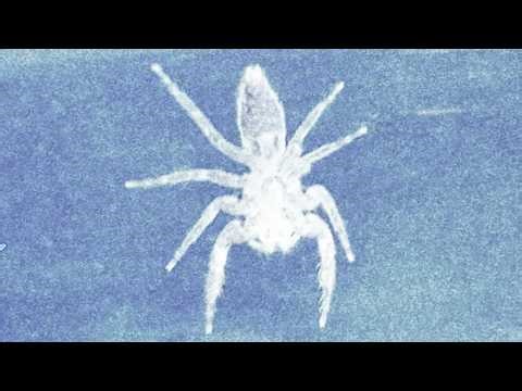 How to make Dark Techno visuals from ANYTHING