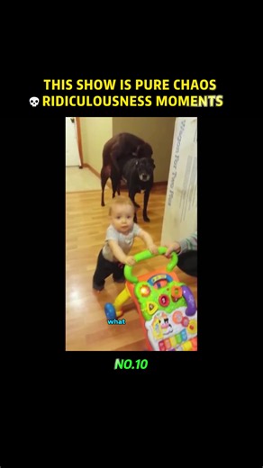 People really said “watch this” and then THIS happened… 💀😂 I can’t believe this is real life 🤣 Which clip broke you the most? #Ridiculousness #FunnyFails #FailCompilation #Comedy #FunnyVideos #Laugh #FYP #Viral