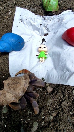 “This Hermit Crab Walk Is Strangely Hypnotic#us #americe #unique