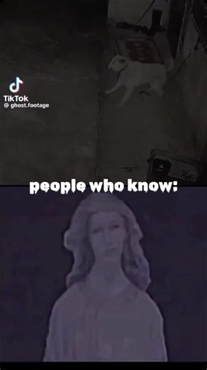 Strange Horror Moments That Will Scare You