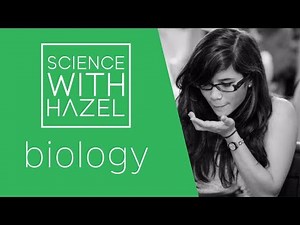Natural Selection - GCSE Biology Revision - SCIENCE WITH HAZEL