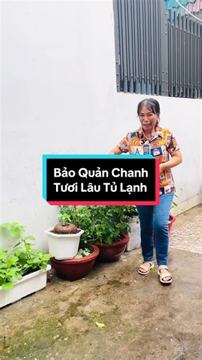 Bảo Quản Chanh Tươi Lâu Tủ Lạnh: 2 Cách Hiệu Quả
