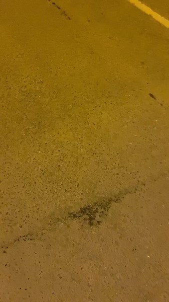 tere hommikust maailm!