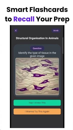 Gyaanbee | NEET Last Min Prep | NCERT Flashcards, MCQs, PYQs
