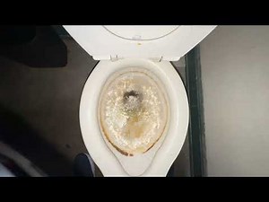 Toilet and Elevator tour at the Greenbrier Hotel with Epic Trentonian Toilets!