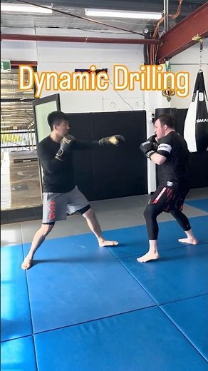 Dynamic Drilling Striking Round #striking #martialarts #mma