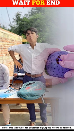 Survival🤣 Skills: SIMPLE and USEFUL #bushcraft​ #camping​ #outdoor