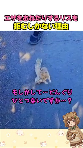 エサをおねだりするリスを拒むしかない理由