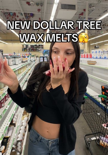 Discovering Dollar Tree's New Wax Melts