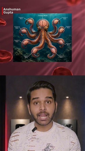 👽🐙 This Creature Looks Like an Alien… But It Lives on Earth!