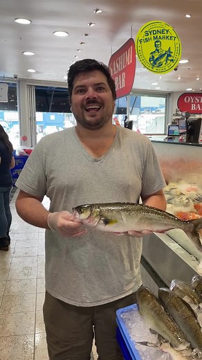 Looking for a cheaper swap for Atlantic Salmon this Christmas? Why not try Australian Salmon! #sydneyfishmarket