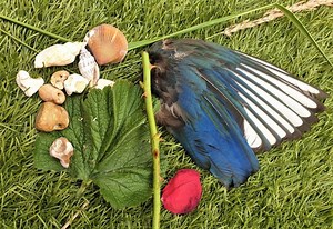 Witchcraft Into The Wilds: Working Magic With Nature