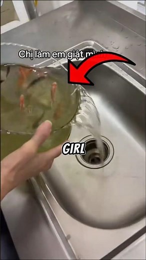 The Strangest Fish Cleaning Ever 😳